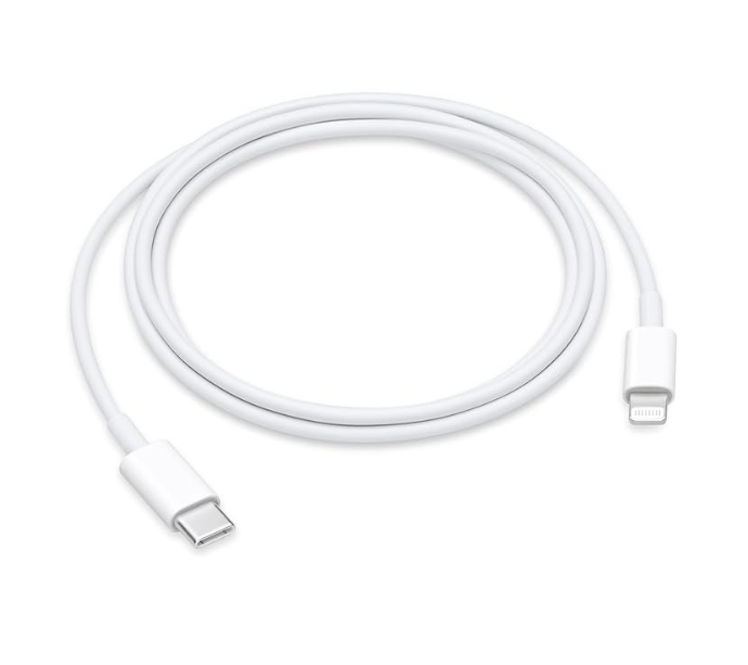 Apple Cable USB-C a Lightning (3.3 ft)